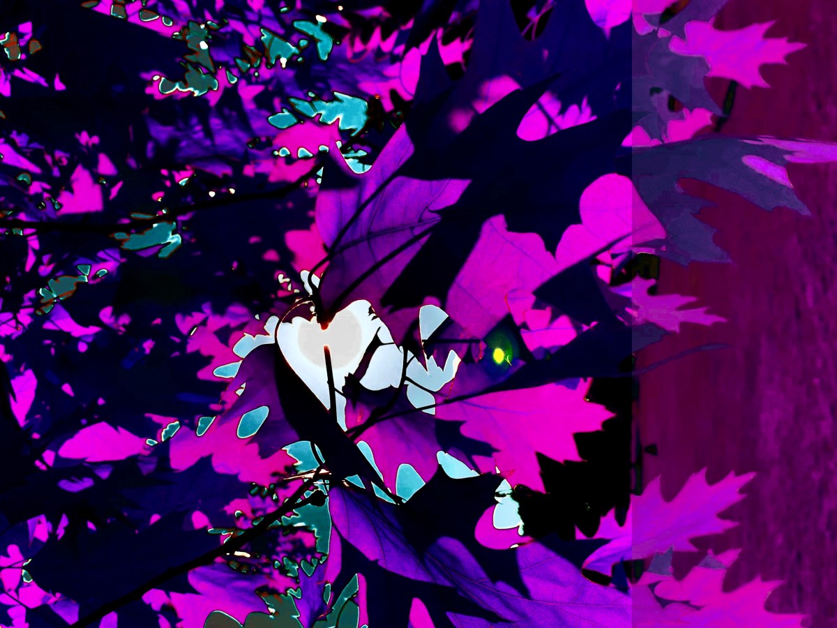 To my younger self: Once you know&nbsp;yourself