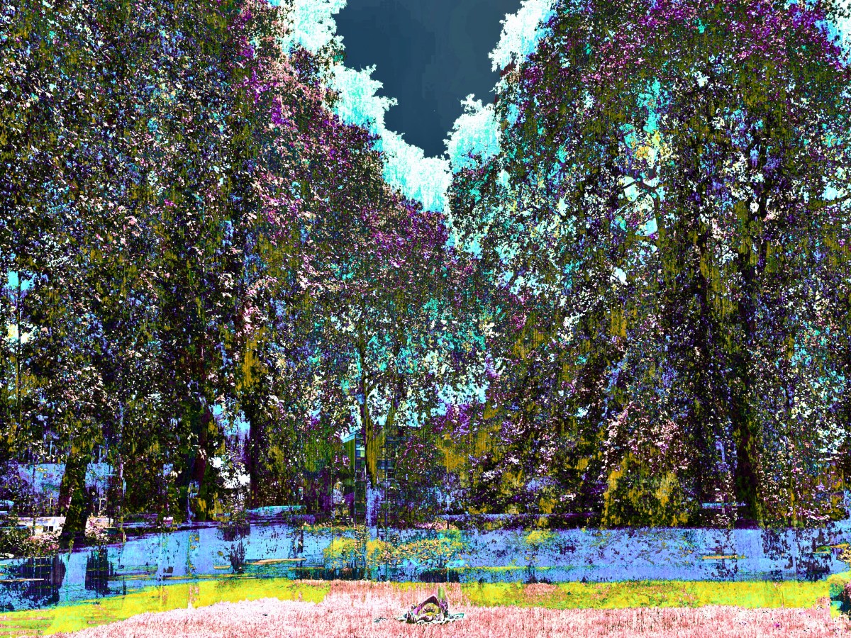 They don’t really hate&nbsp;YOU!