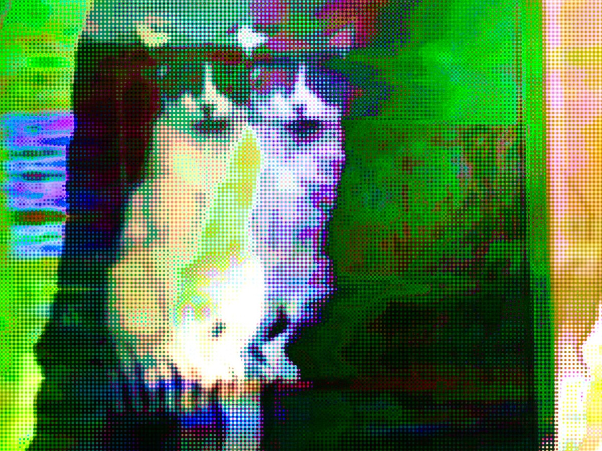 “Anything exposed to light becomes&nbsp;light.”