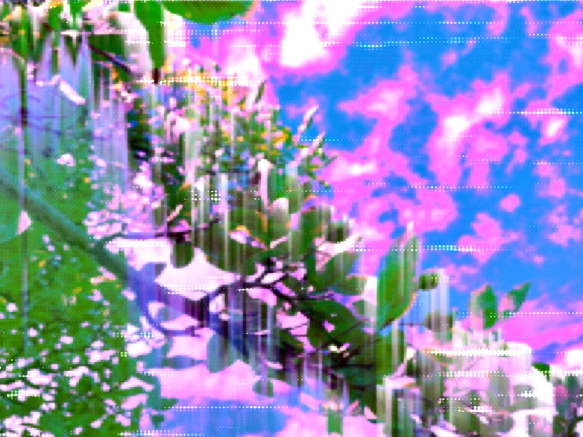 Emotional incest: when children raise their&nbsp;parents