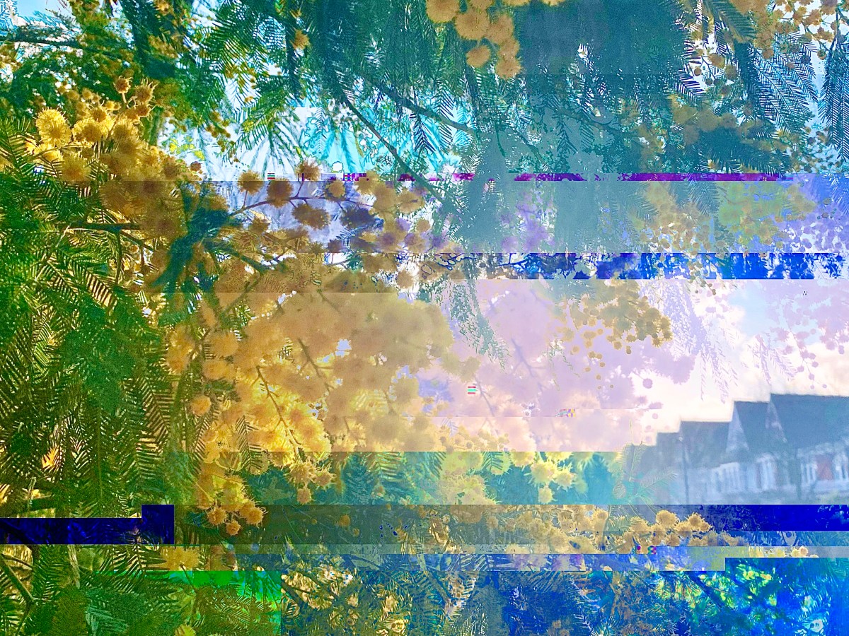 Suffering is ignorance, and ignorance is&nbsp;suffering