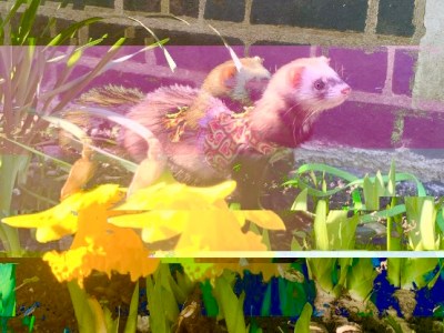 Do you need&nbsp;reparenting?