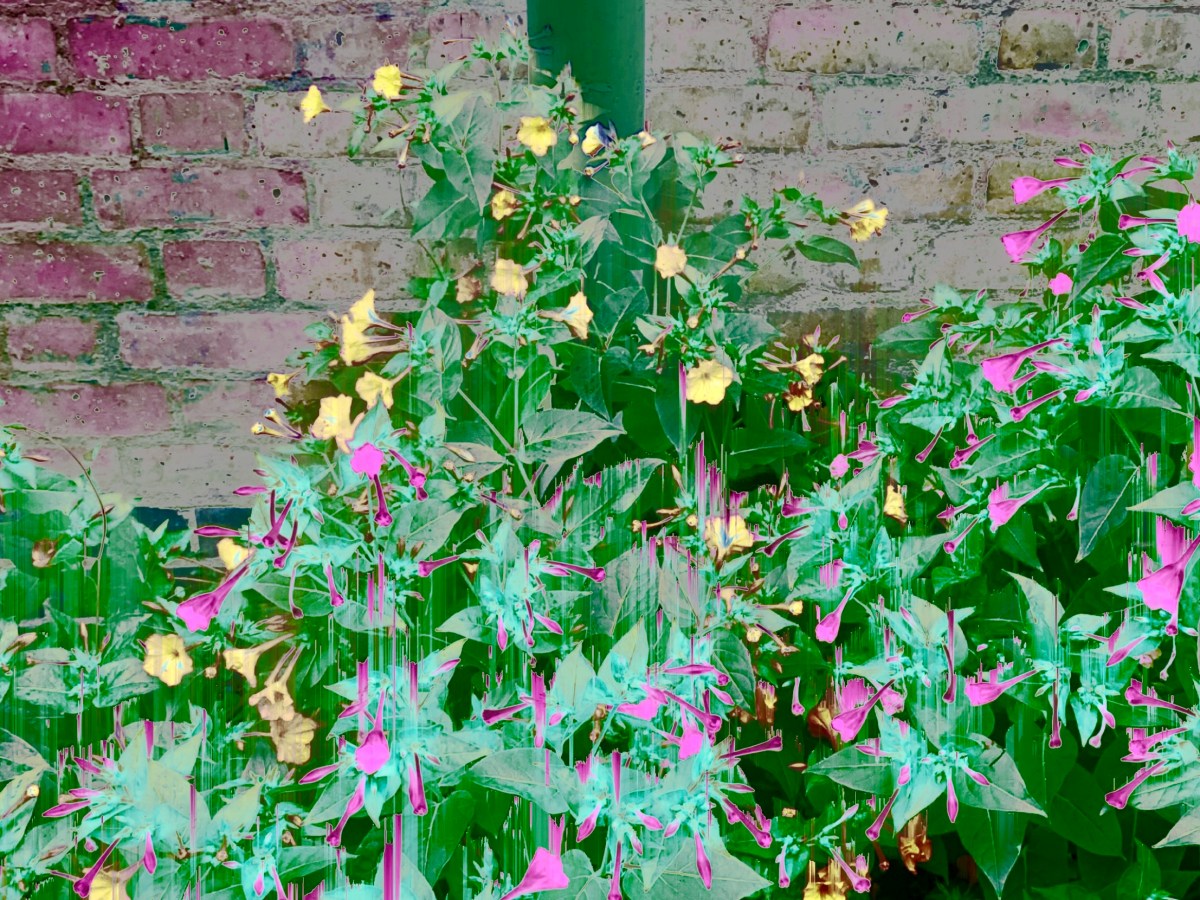 Why mindful breathing won’t work for&nbsp;you