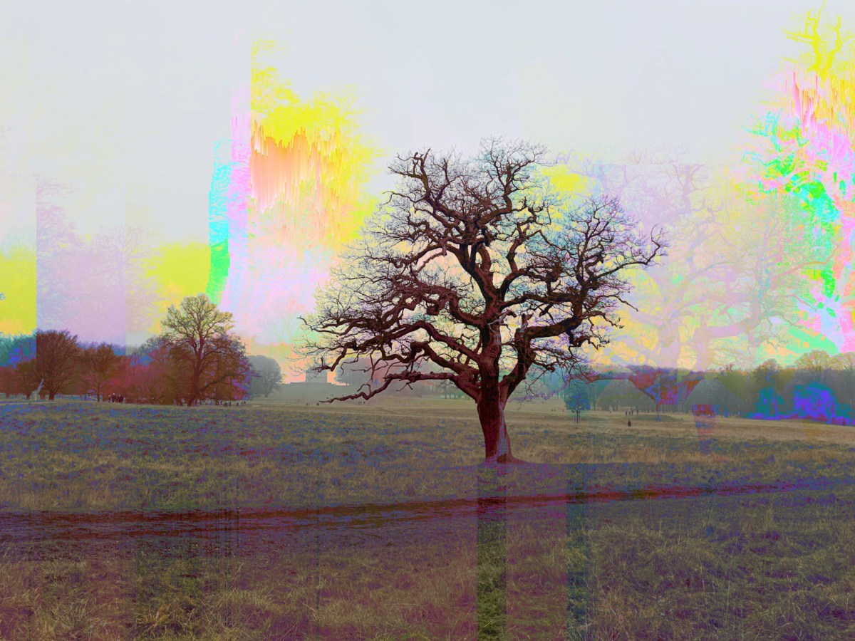 Disabled or depressed: a blurry&nbsp;line