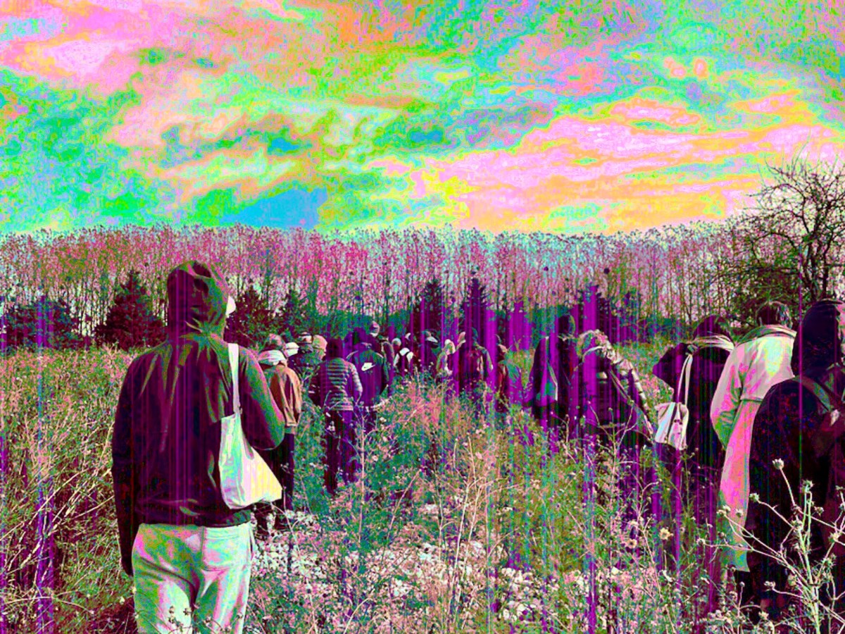 “If you don’t like the fruit, find out what the seeds&nbsp;are”