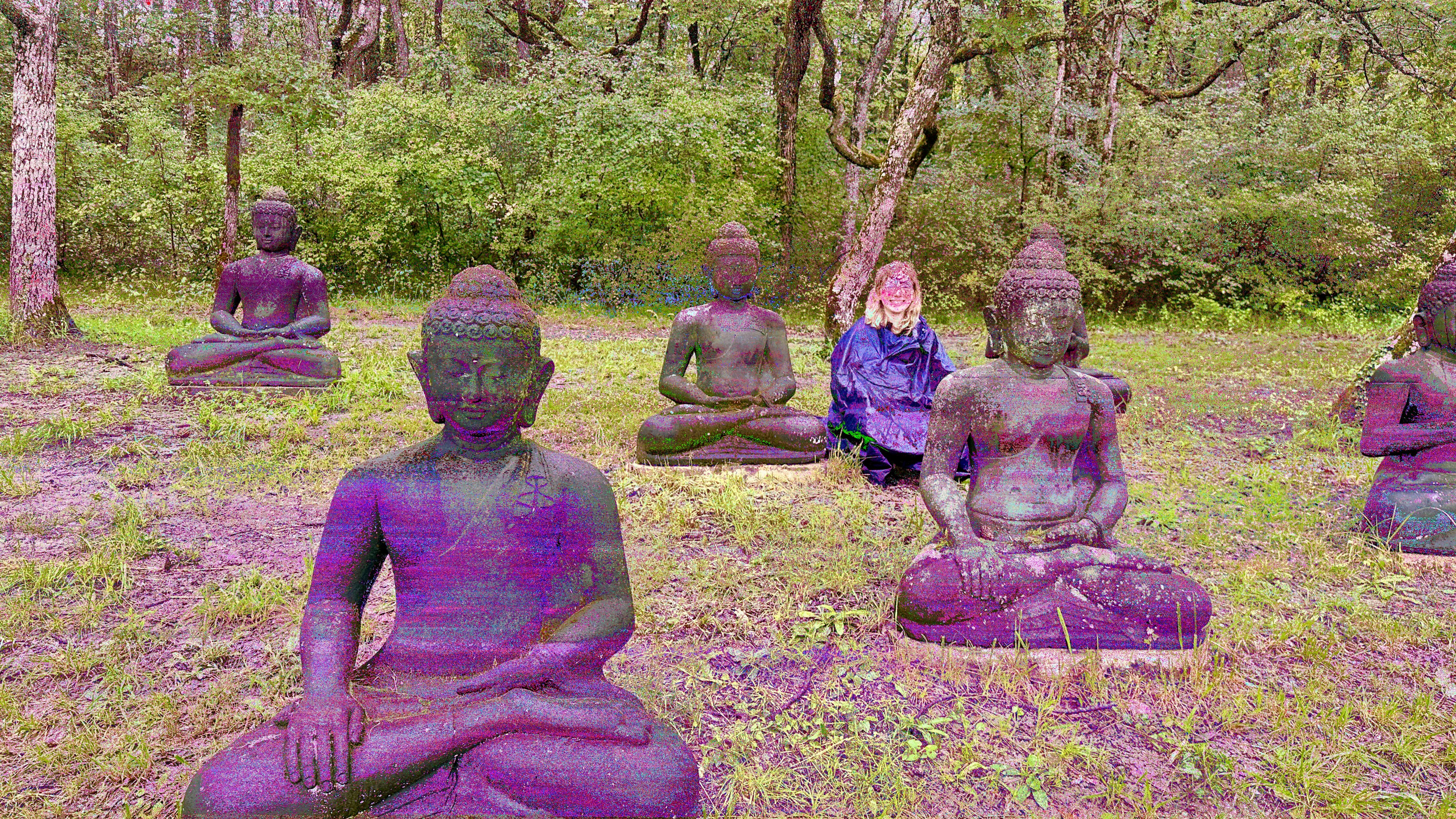 No mud, no lotus” – 2 weeks at Zen Monastery Plum Village